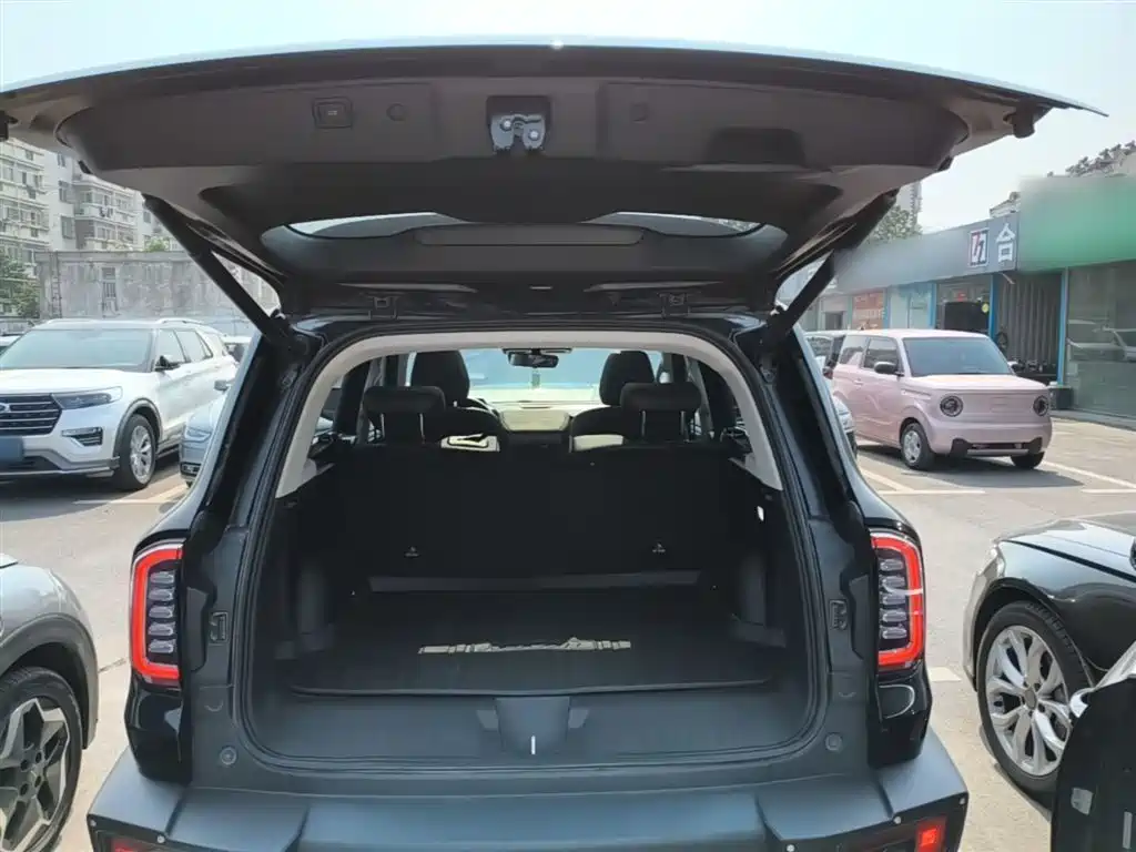 Haval Big Dog 2022 2.0T DCT 4WD Chinese Rural Dog Hunting Edition фото 19