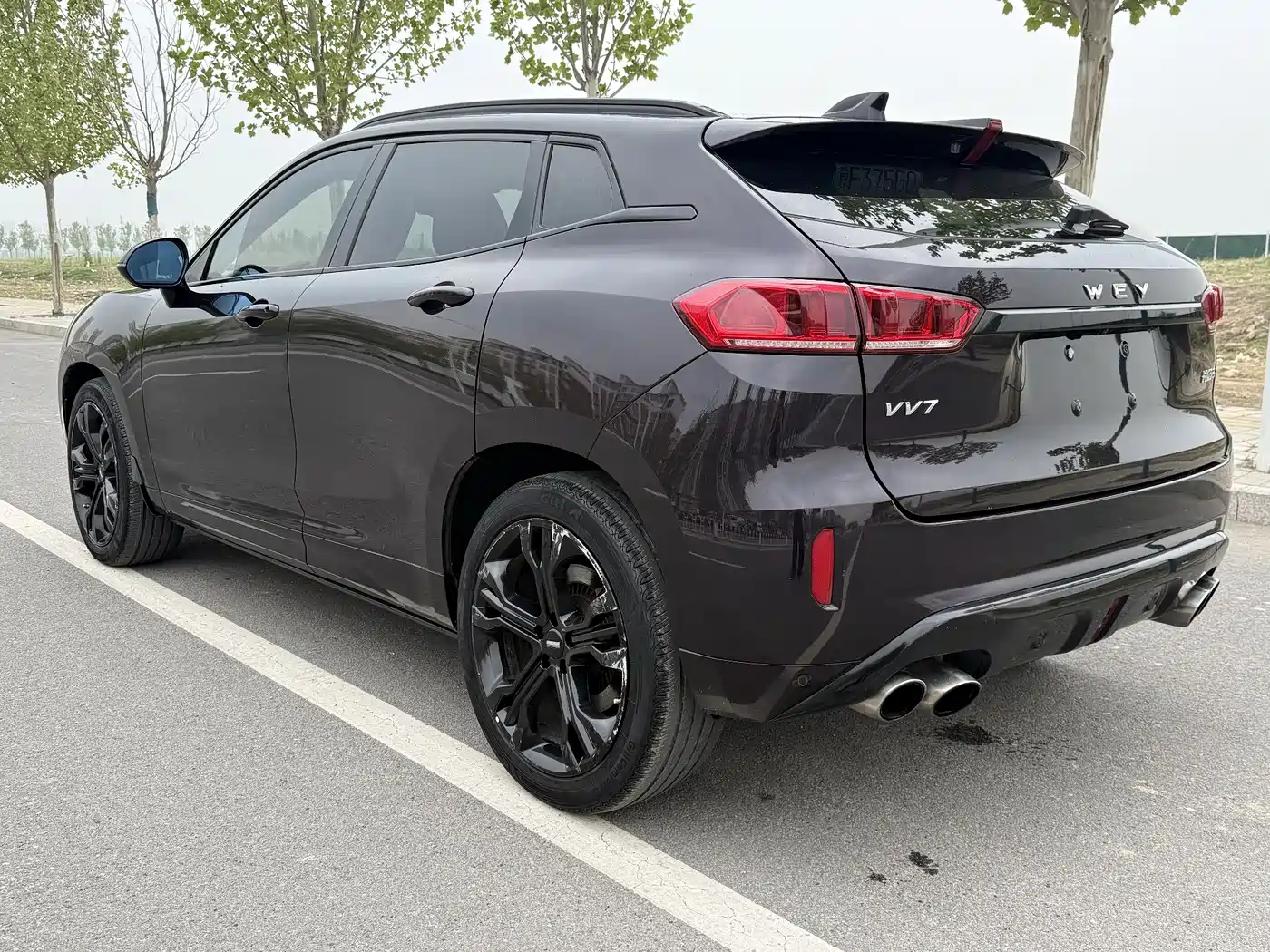 WEY VV7 2019 2017 2.0T Flagship