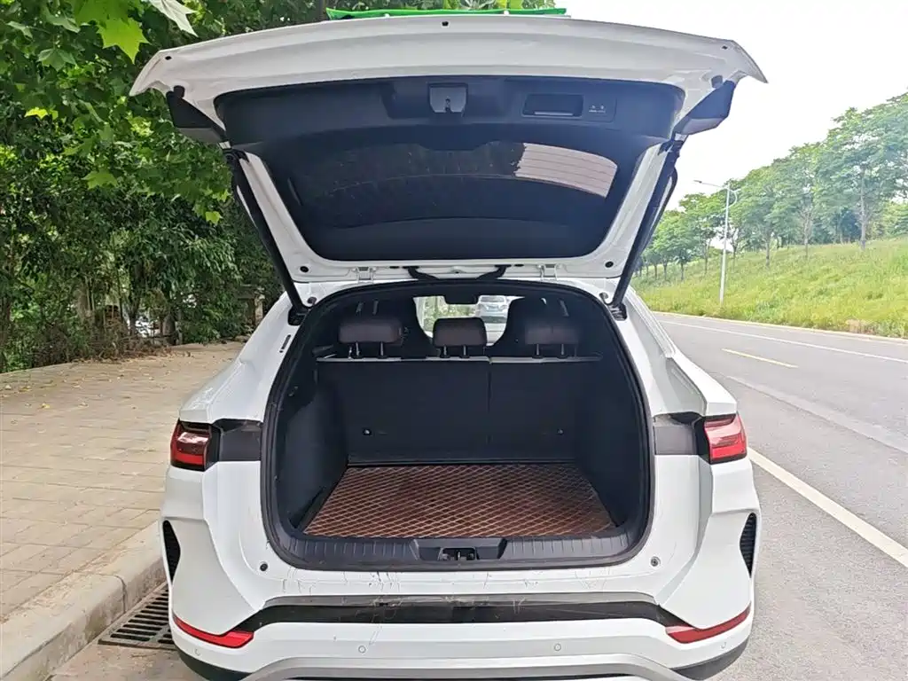 BYD Song PLUS PHEV 2025 DM-i 112KM Honor фото 18