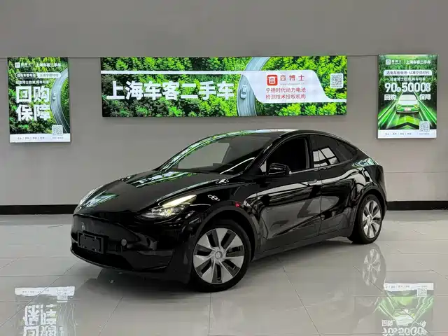 Tesla Model Y 2021 Standard Range Rear-Wheel Drive