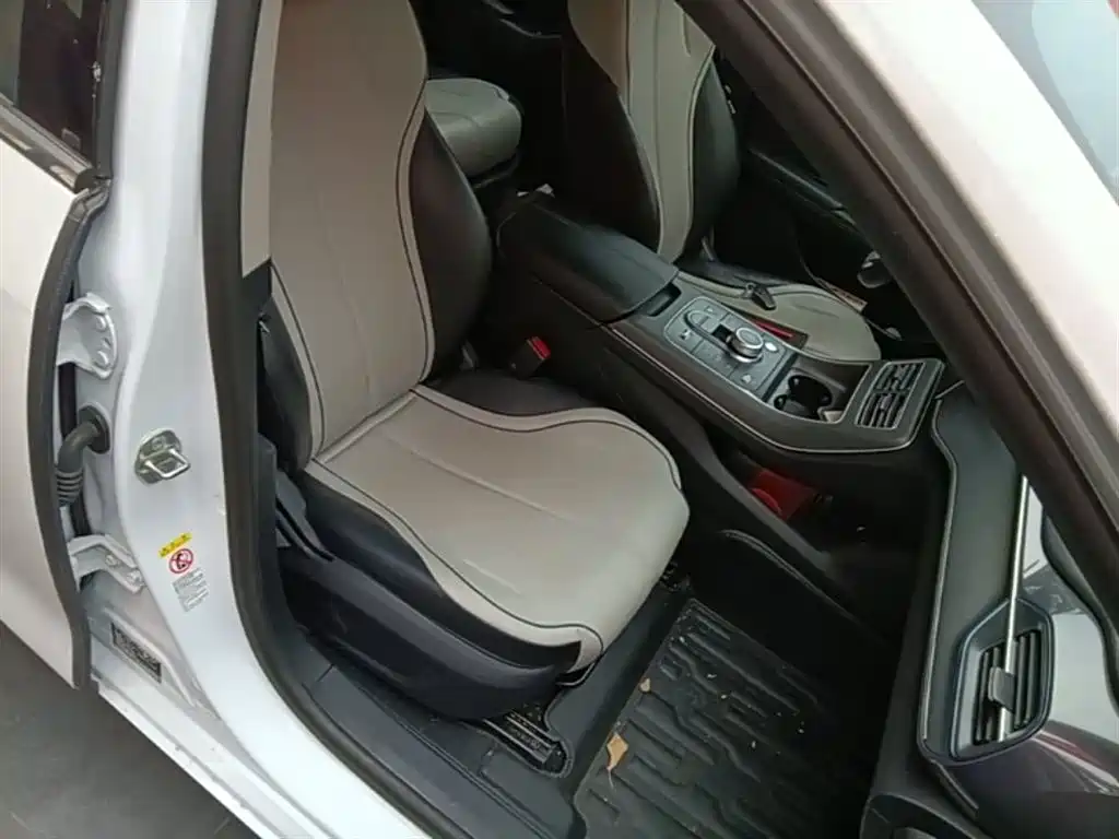 BYD Destroyer 05 2024 Glory Edition DM-i 55KM Luxury фото 25