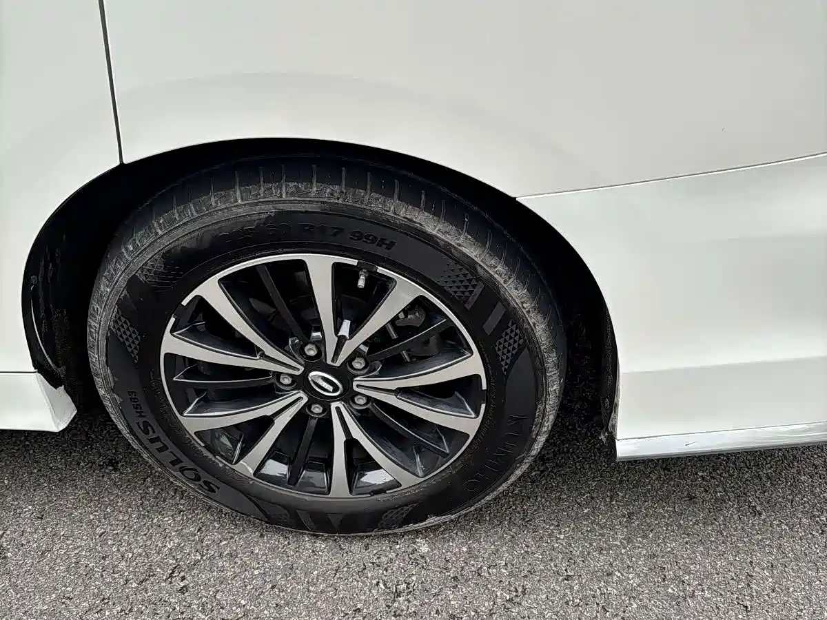 GAC Trumpchi Trumpchi M8 2021 Leading Show Series 390T Premium Edition фото 16