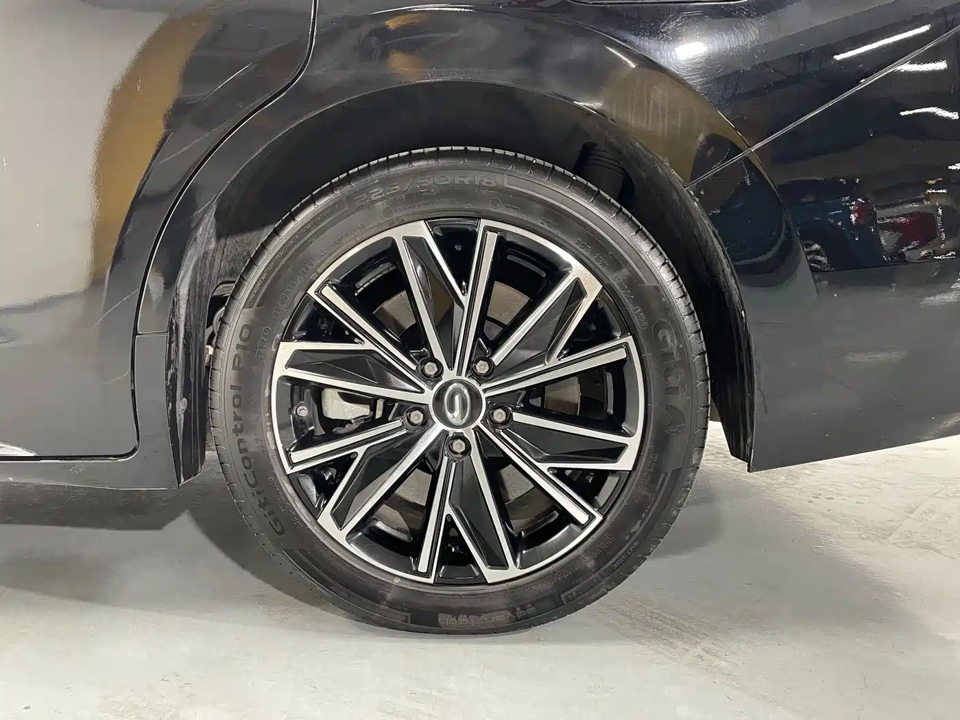 Фото 19 - GAC Trumpchi Trumpchi E8 NEV