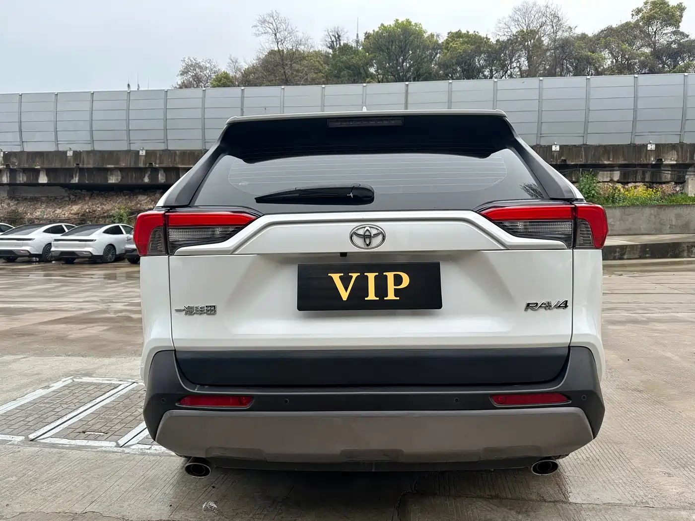 Toyota RAV4 Rongfang 2022 2.0L CVT 2WD Trend Plus Edition фото 8