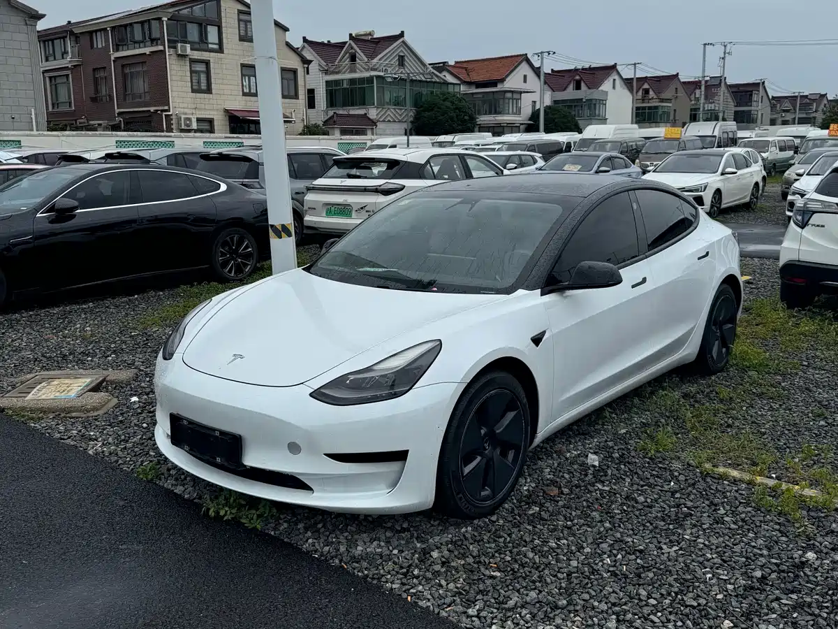 Tesla Model 3 2020 Standard Range Rear-Wheel Drive Upgrade