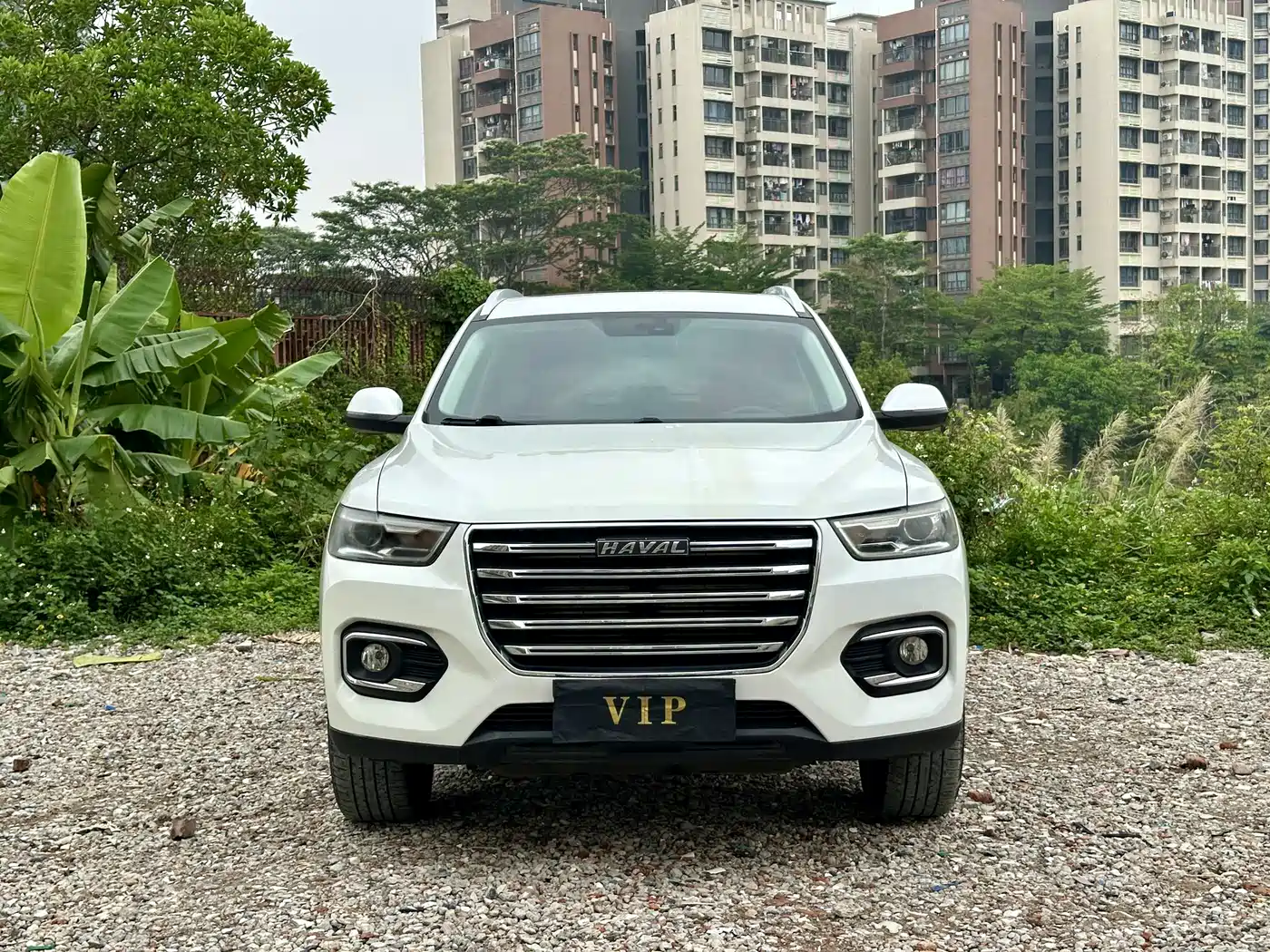 Haval H6 2020 1.5GDIT Automatic Platinum Urban Edition фото 3