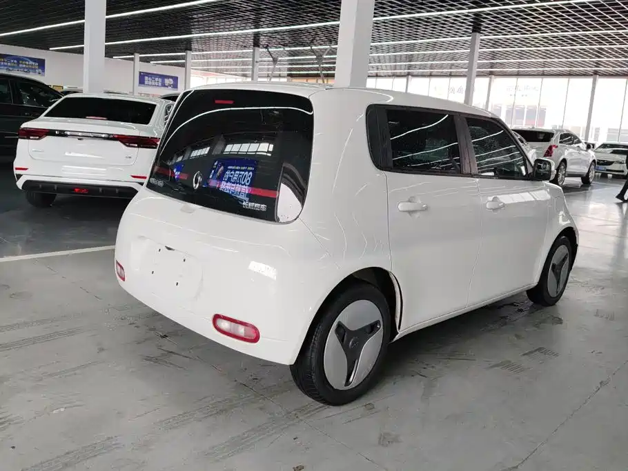 Ora White Cat 2020 2020 360km Standard Model