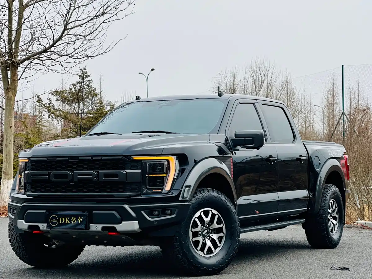 FORD F 150 RAPTOR