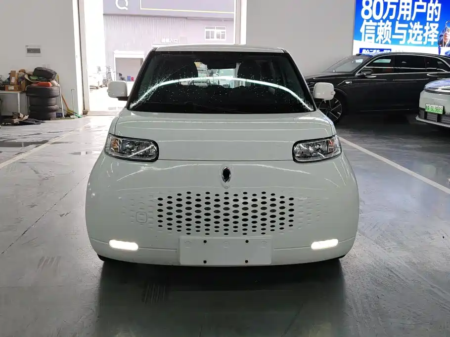 Ora White Cat 2020 2020 360km Standard Model