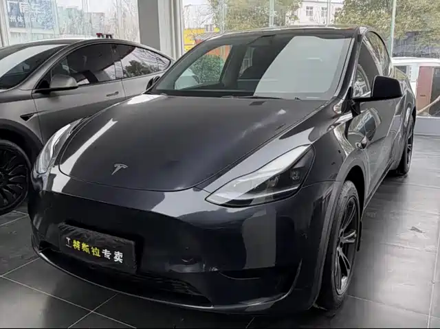 Tesla Model Y 2024 Rear-Wheel Drive Version