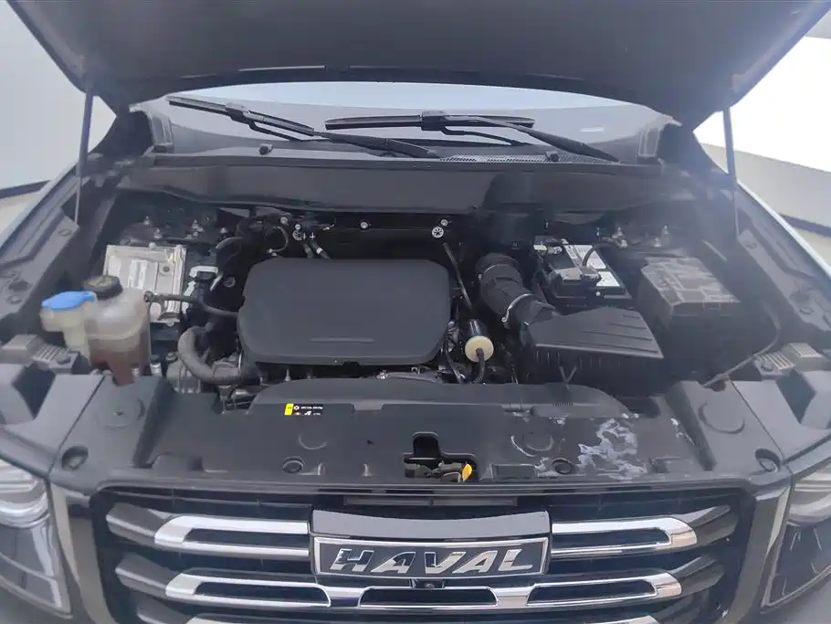 Haval Big Dog 2022 1.5T DCT FWD Labrador Edition фото 10