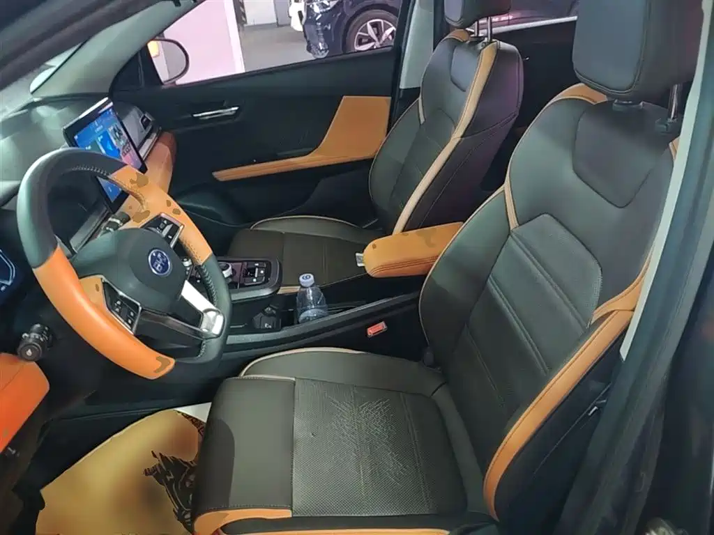 BYD e2 2021 Luxury Edition фото 15
