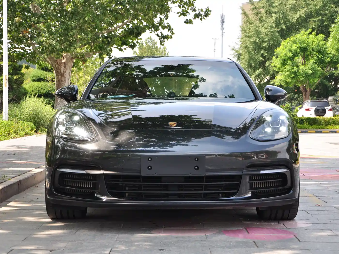 Porsche Panamera 2019 Panamera 2.9T фото 2
