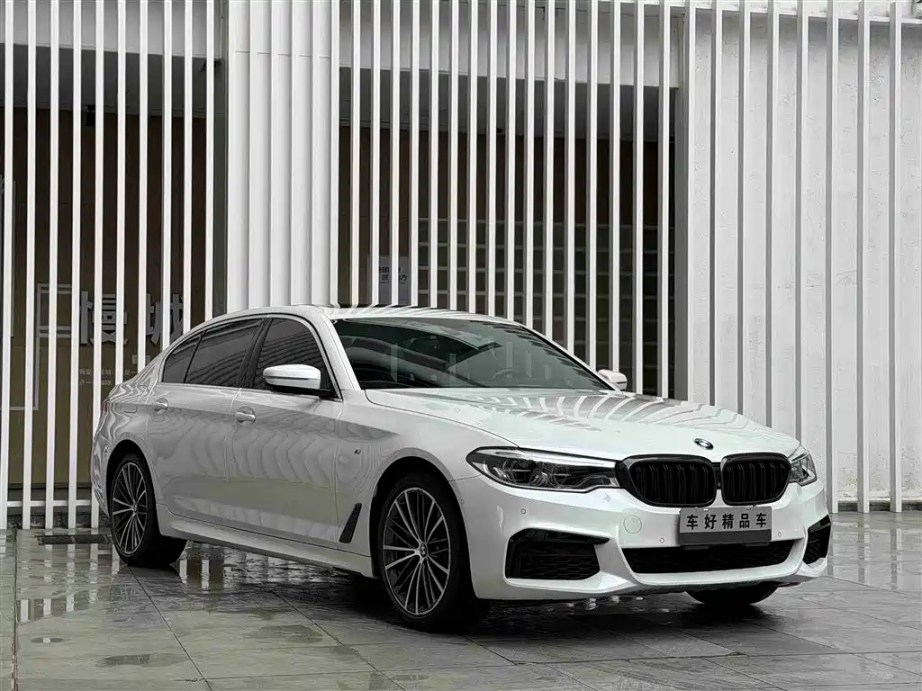 BMW 5 Series 2020 530Li Exclusive M Sport Package фото 3