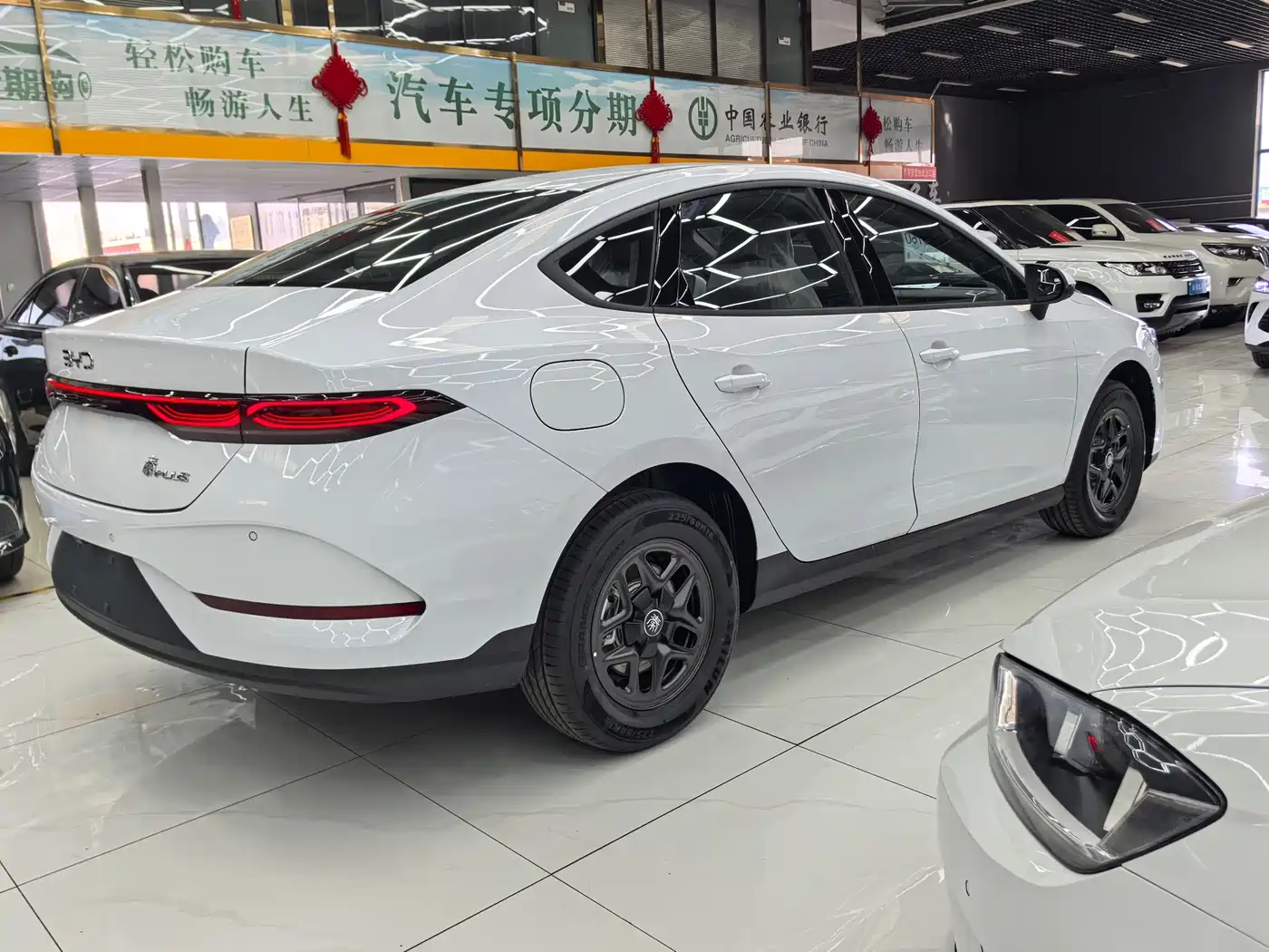 BYD Qin PLUS 2026 DM-i 128KM Progressive фото 14