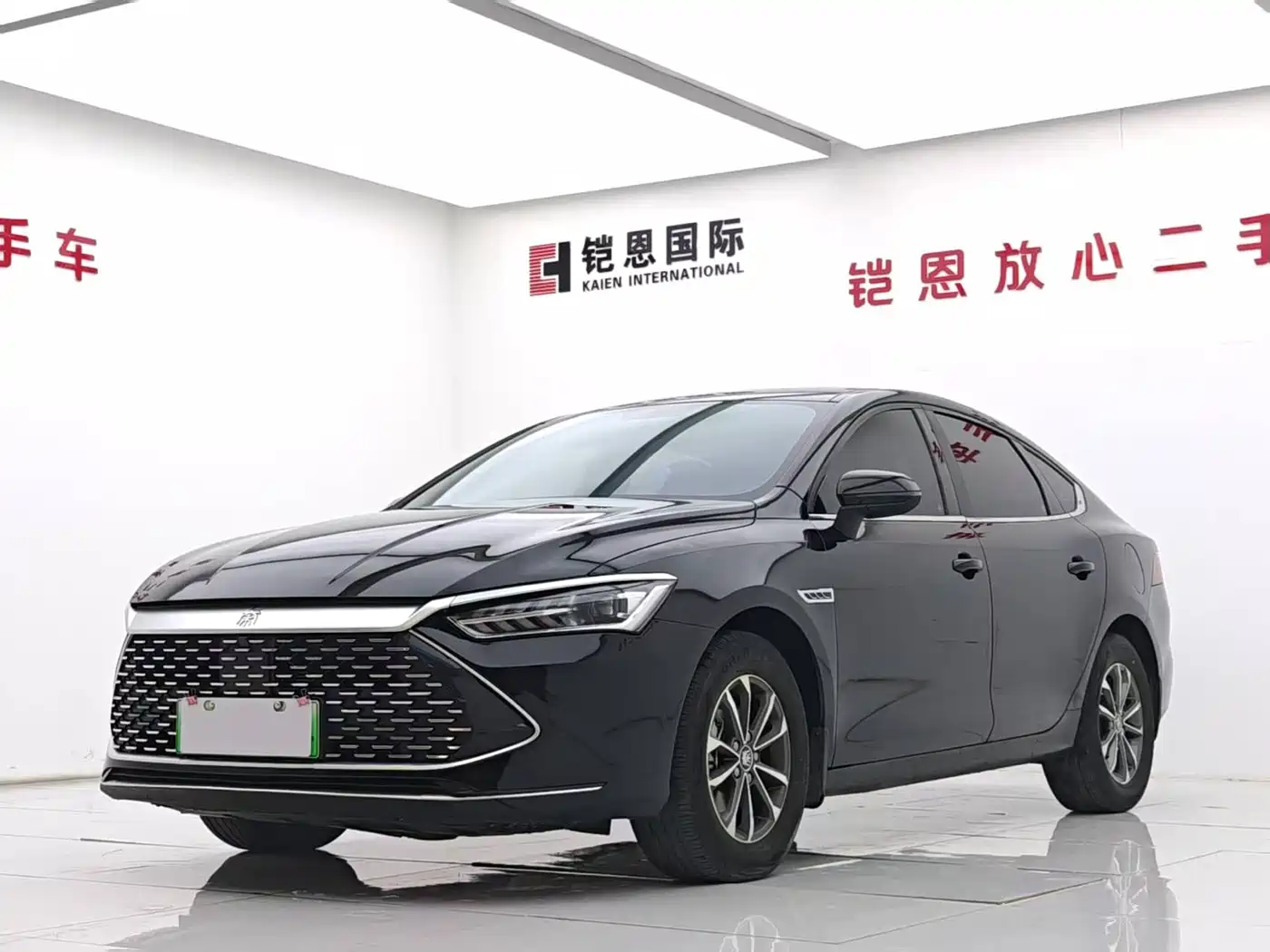 BYD Qin PLUS 2024 Glory Edition DM-i 55KM Leading