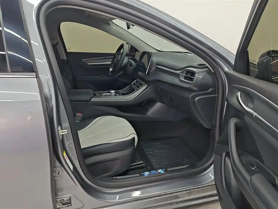 BYD Destroyer 05 2024 Glory Edition DM-i 55KM Luxury фото 8