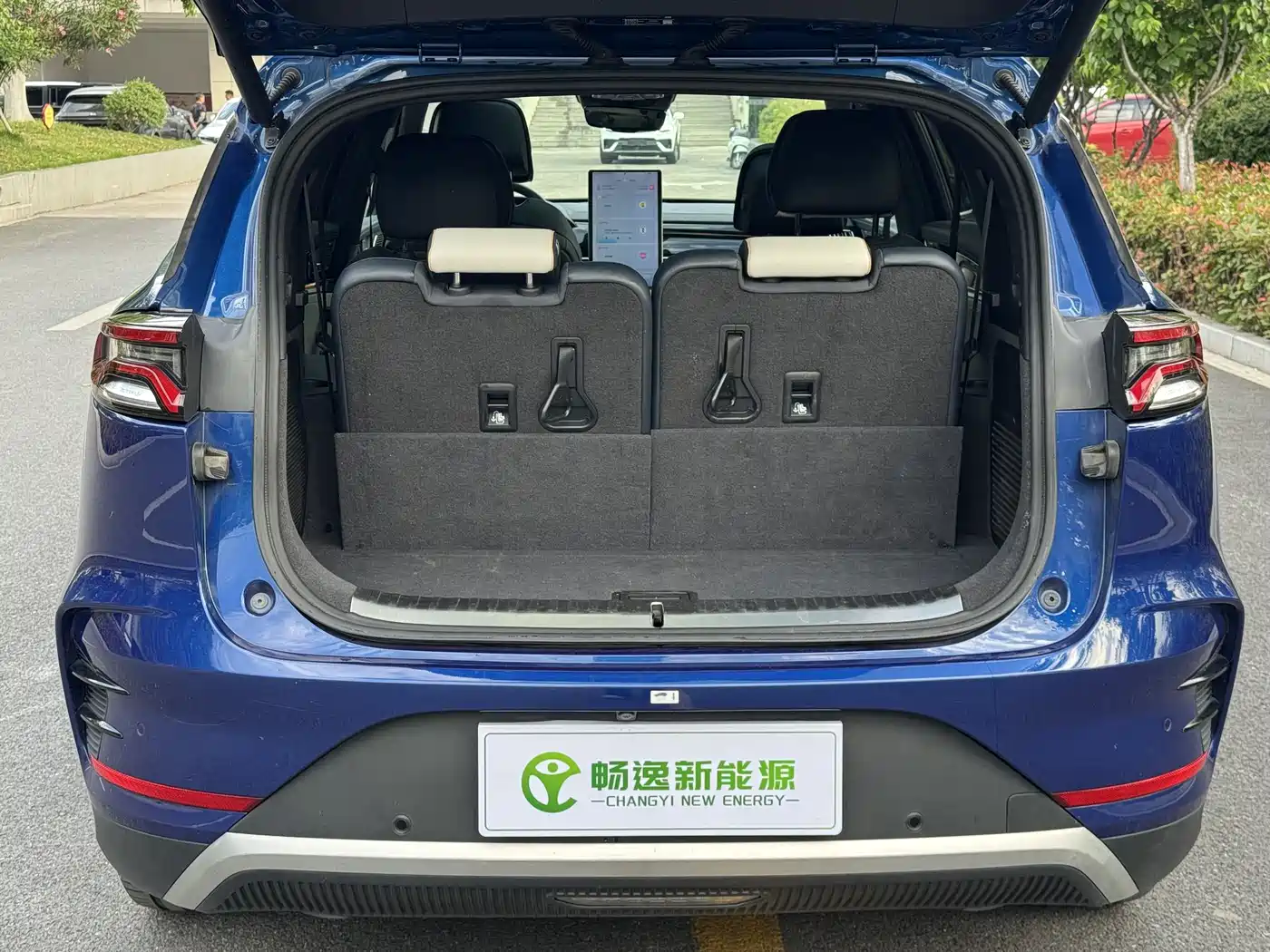 BYD Tang New Energy 2022 DM-p 215KM AWD Flagship фото 18