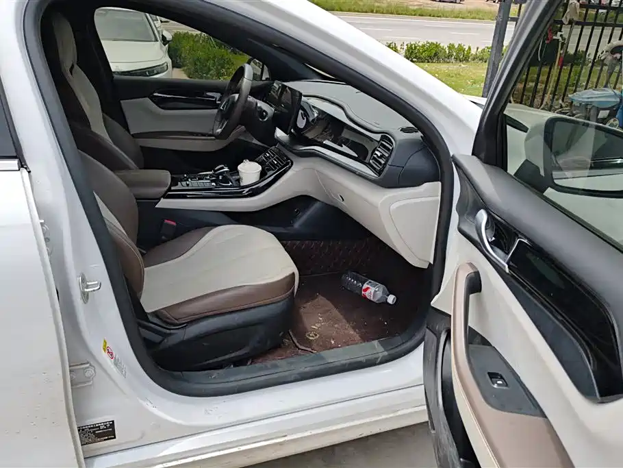 BYD Qin PLUS 2024 Glory Edition DM-i 55KM Leading фото 8