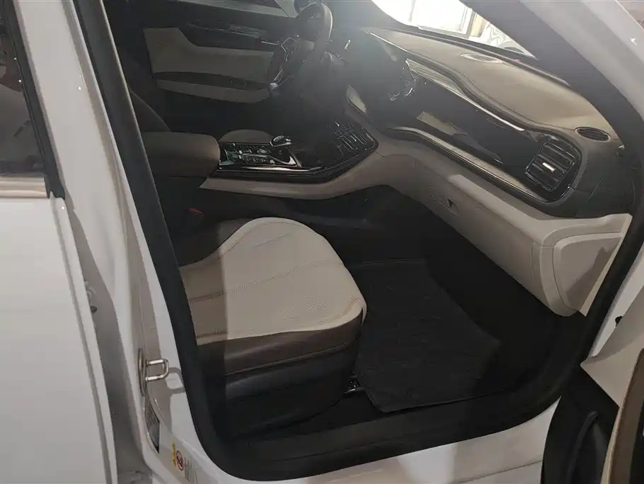 BYD Qin PLUS 2024 Glory Edition DM-i 55KM Leading фото 8