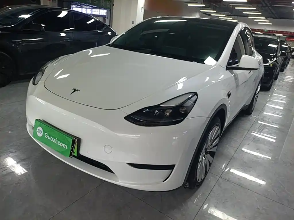 Tesla Model Y 2022 Rear-Wheel Drive Version
