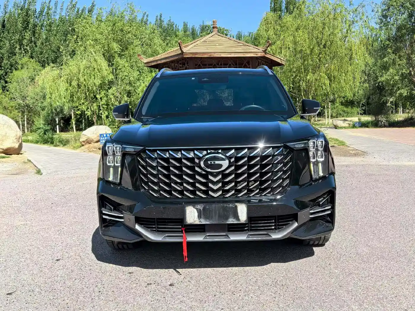 GAC Trumpchi Trumpchi GS8 2024 Navigator Series 2.0TGDI 2WD Luxury Smart Connect Edition фото 2