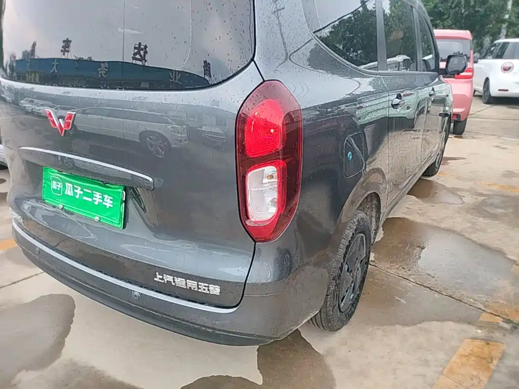 Фото 8 - Wuling Motors Wuling Hongguang New Energy