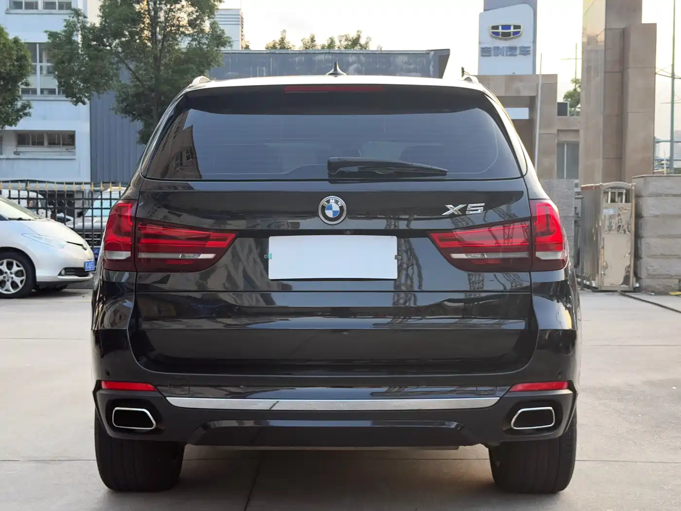 BMW X5 (Import) 2017 xDrive35i Elegance фото 5