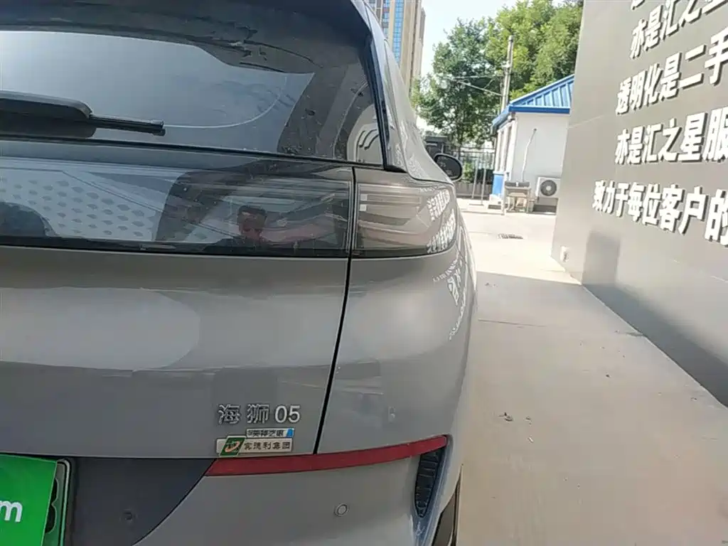 BYD Hai Shi 05 EV 2025 520KM Smart Navigation Edition фото 8