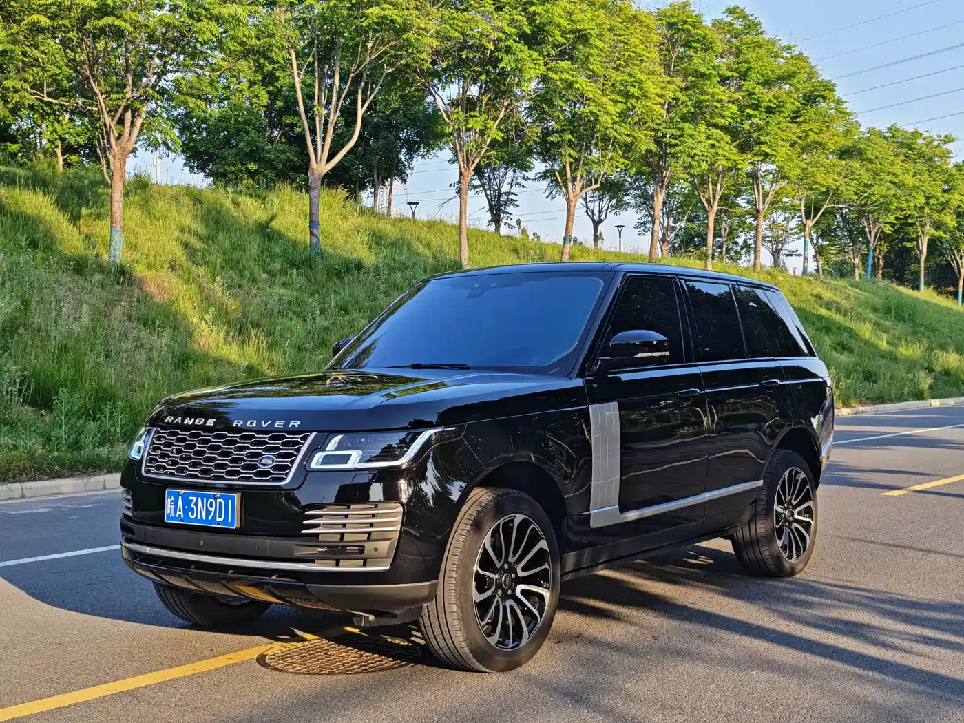 Land Rover Range Rover 2015 3.0 TDV6 Vogue фото 3