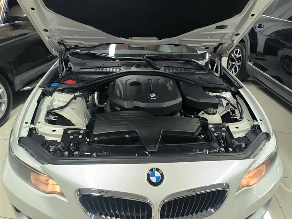 BMW 2 Series (Import) 2015 218i фото 20