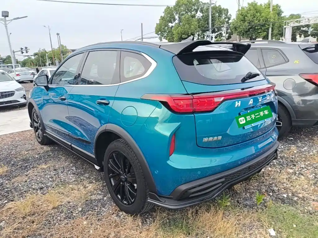 Haval Chitu 2022 2021 Boost Edition 1.5T Platinum Rabbit