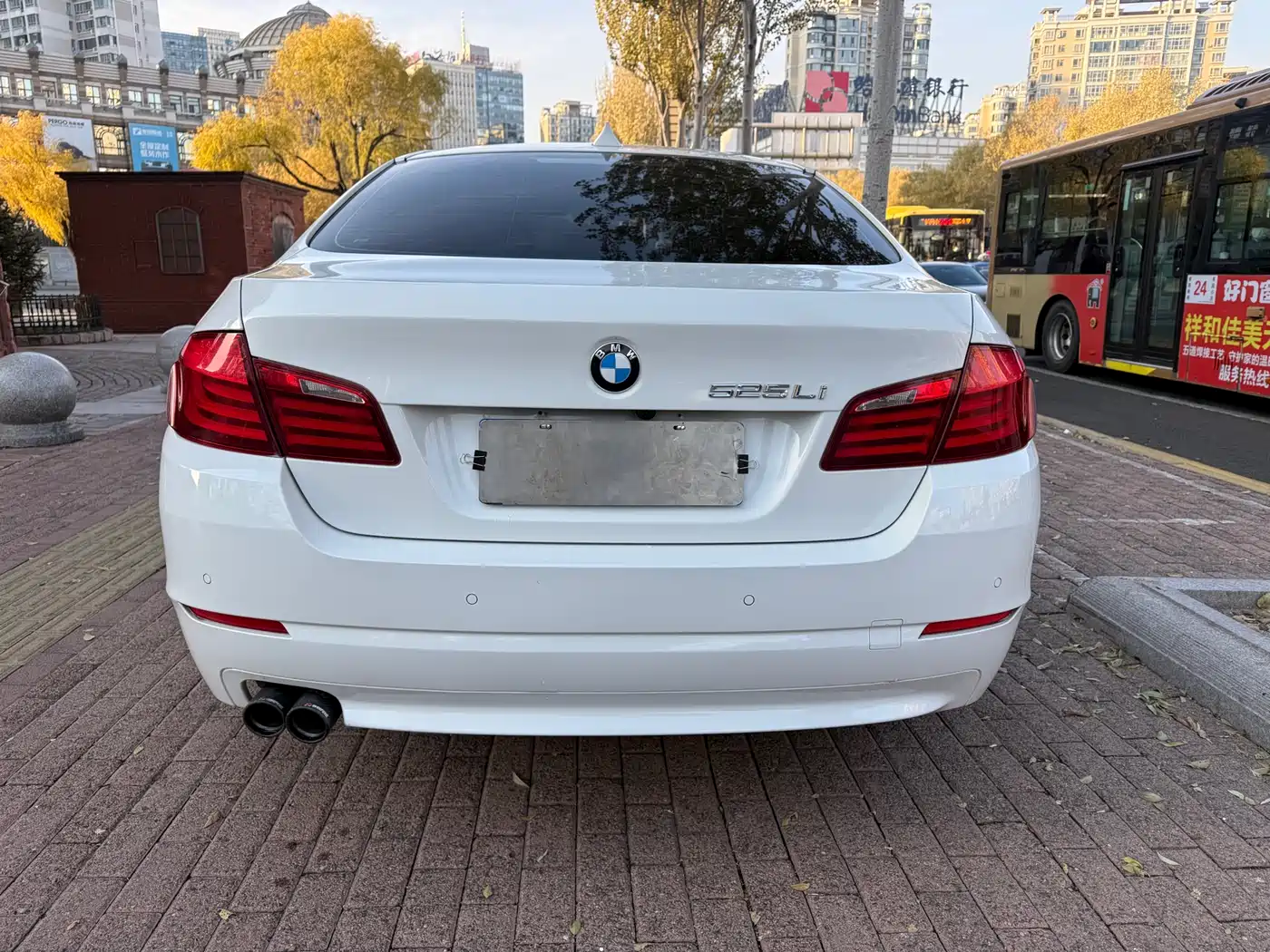 BMW 5 Series 2013 525Li Leadership фото 6