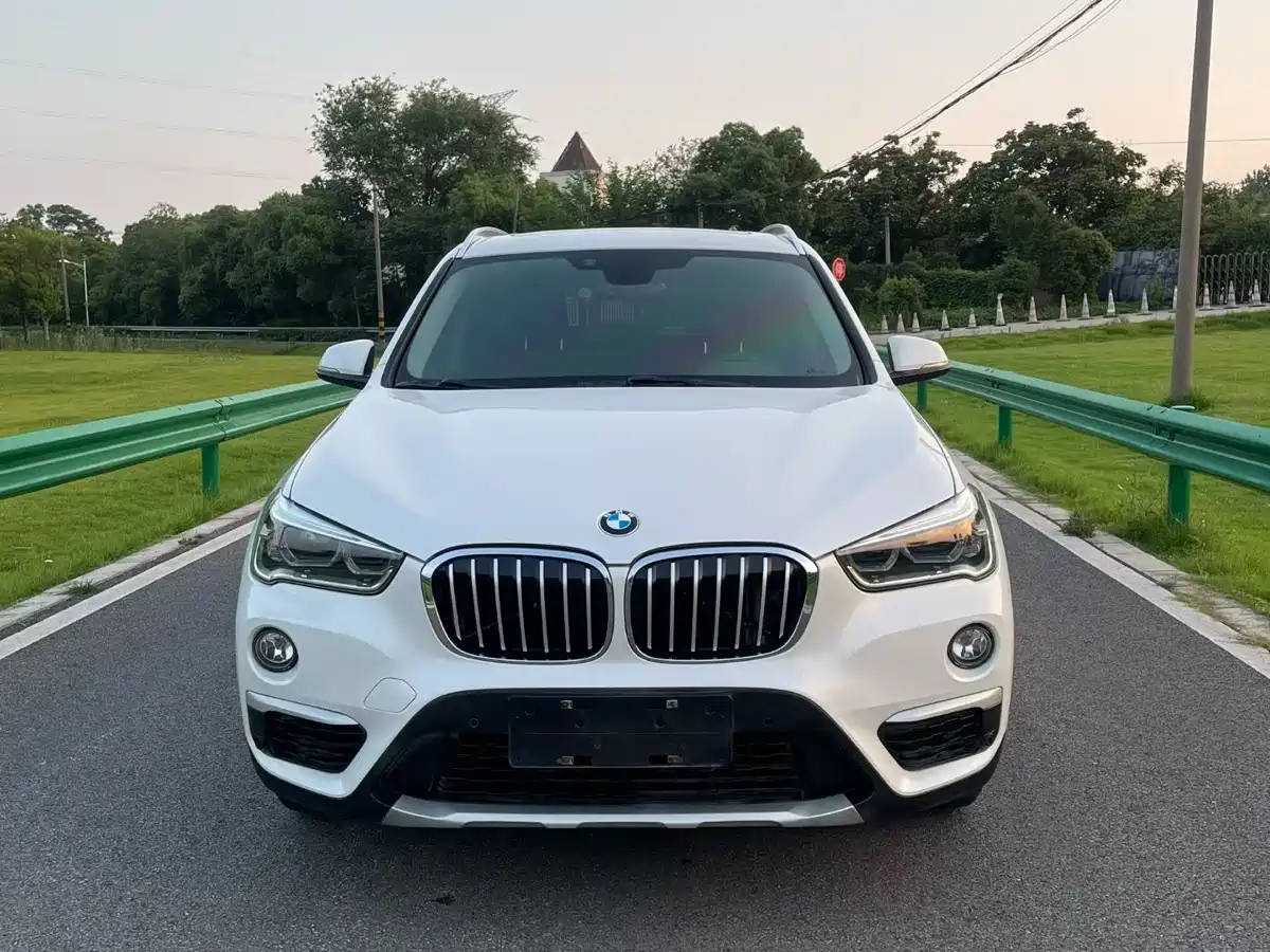 BMW X1 2016 sDrive20Li Luxury Model фото 2