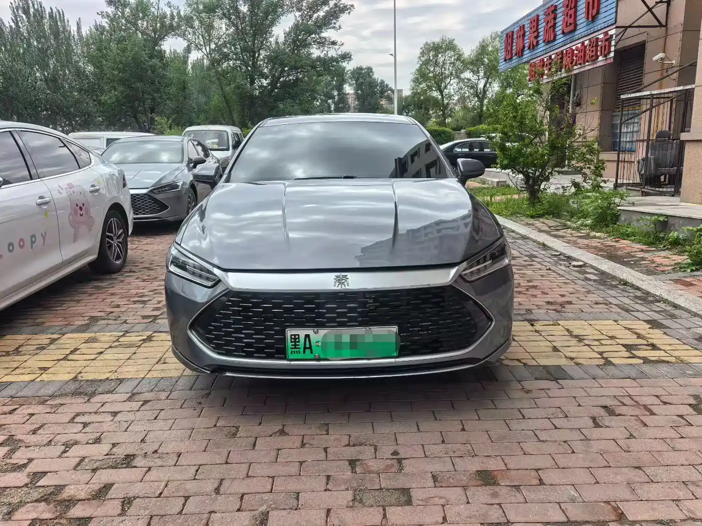 BYD Qin PLUS 2023 Champion Edition DM-i 120KM Leading Type фото 2
