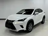 Фото 1 - Lexus NX