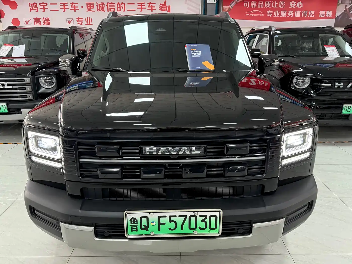 HAVAL RAPTORS NEW ENERGY