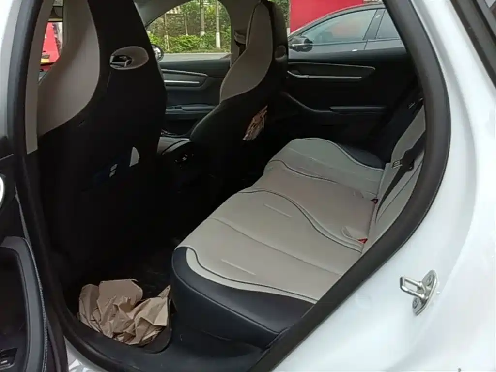 BYD Destroyer 05 2024 Glory Edition DM-i 55KM Luxury фото 17