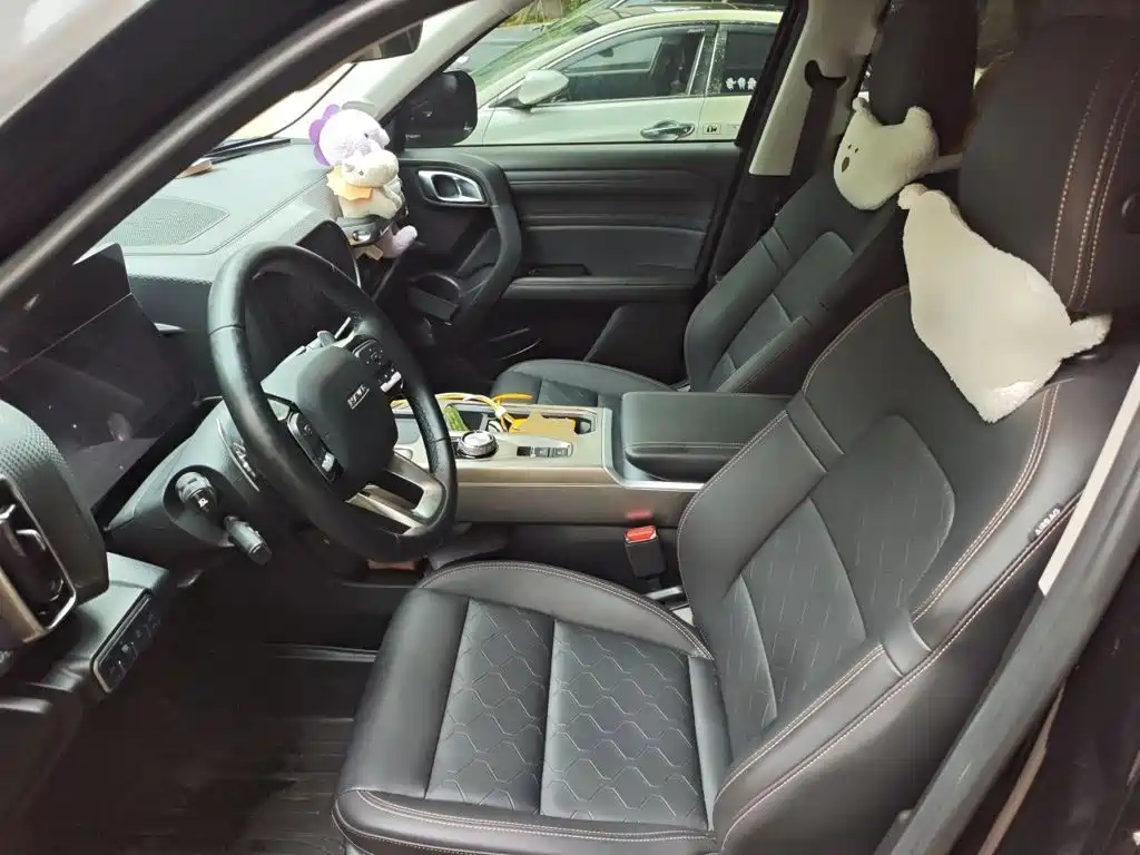 Haval Big Dog 2025 2024 1.5T DCT Border Collie Edition