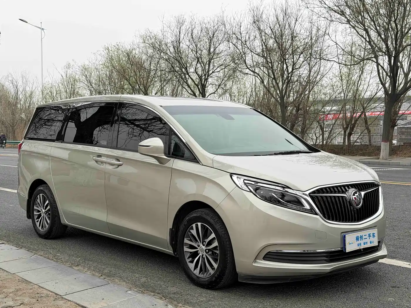 Buick GL8 2018 ES 28T Luxury Type China VI фото 4