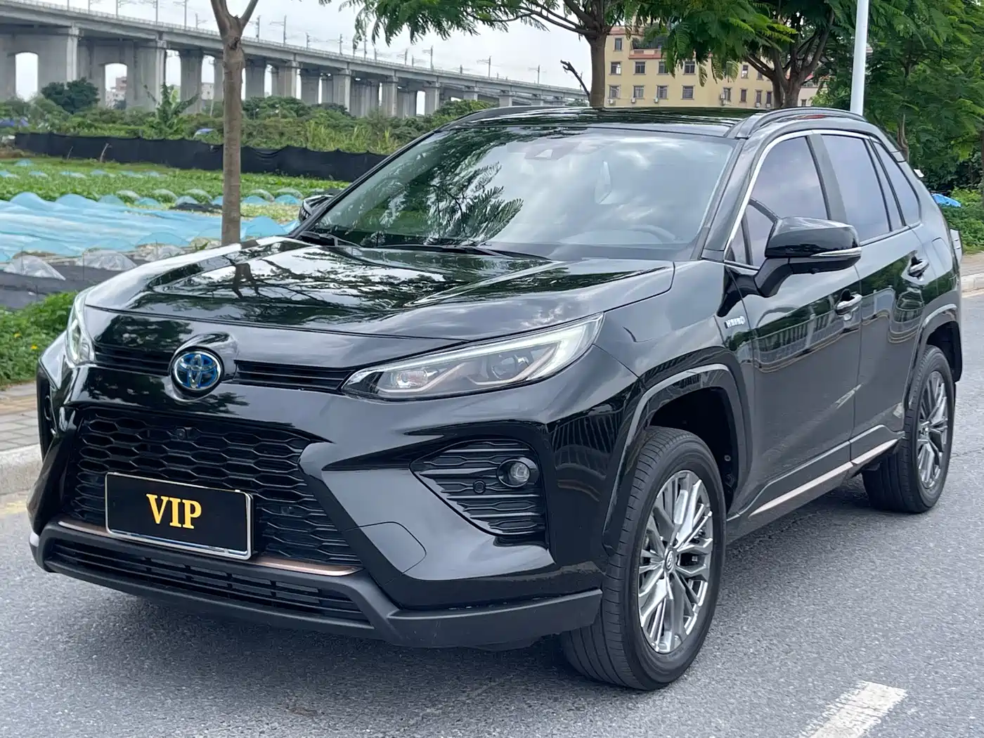 Toyota Wildlander 2024 Hybrid 2.5L E-CVT FWD Luxury PLUS Edition
