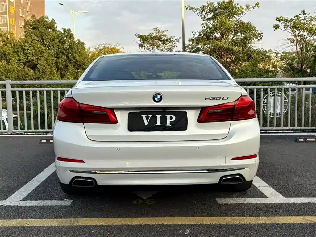 BMW 5 Series 2018 530Li xDrive Luxury Package фото 6