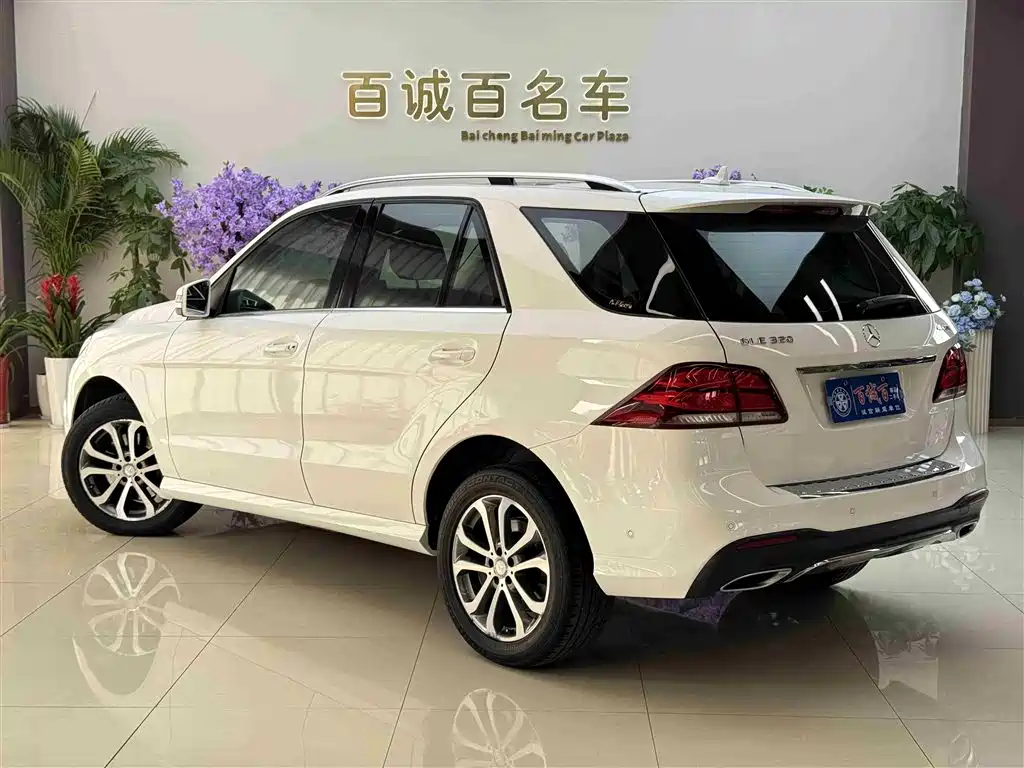 Mercedes-Benz GLE 2017 GLE 320 4MATIC Dynamic фото 8
