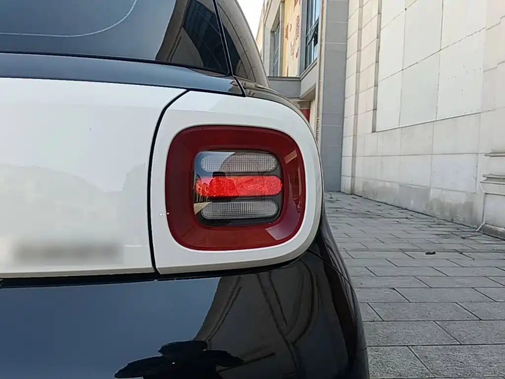 Ora Black Cat 2022 2022 Facelift 301km Pet Edition LFP Version