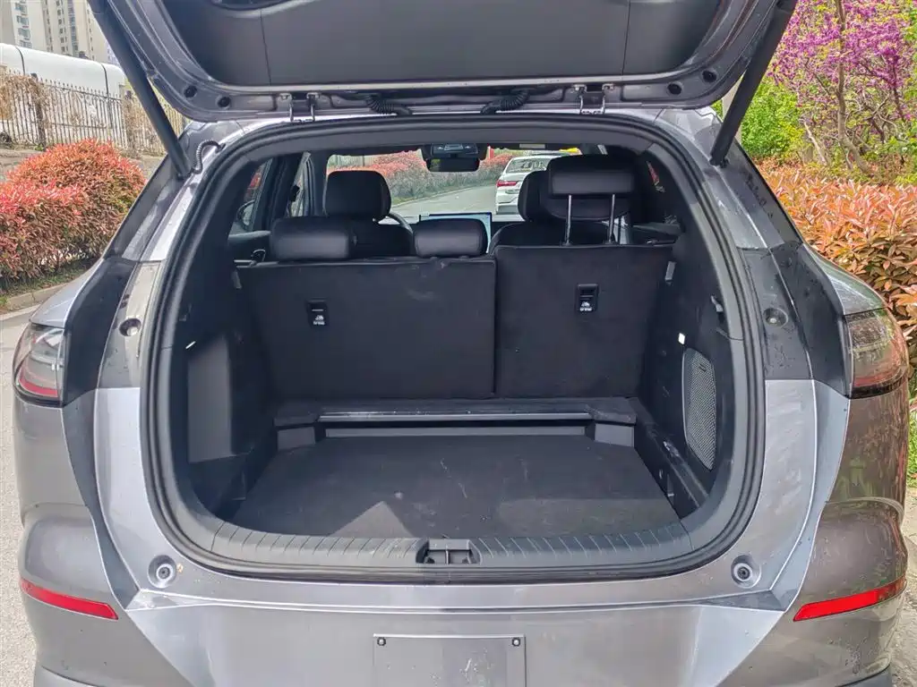 BYD Sealion 06 New Energy 2025 DM-i 170 Pilot Plus Edition фото 18