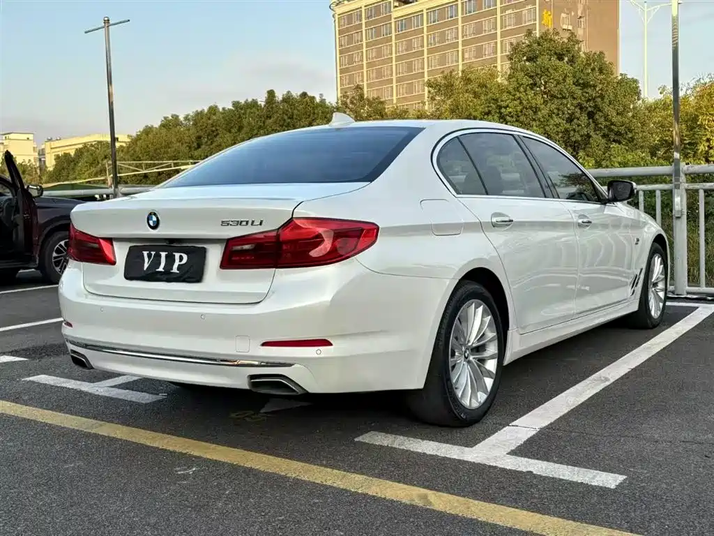 BMW 5 Series 2018 530Li xDrive Luxury Package фото 7