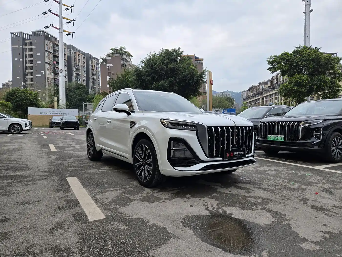 Hongqi HS5 2023 2.0T 4WD Flag Leader Pro фото 3