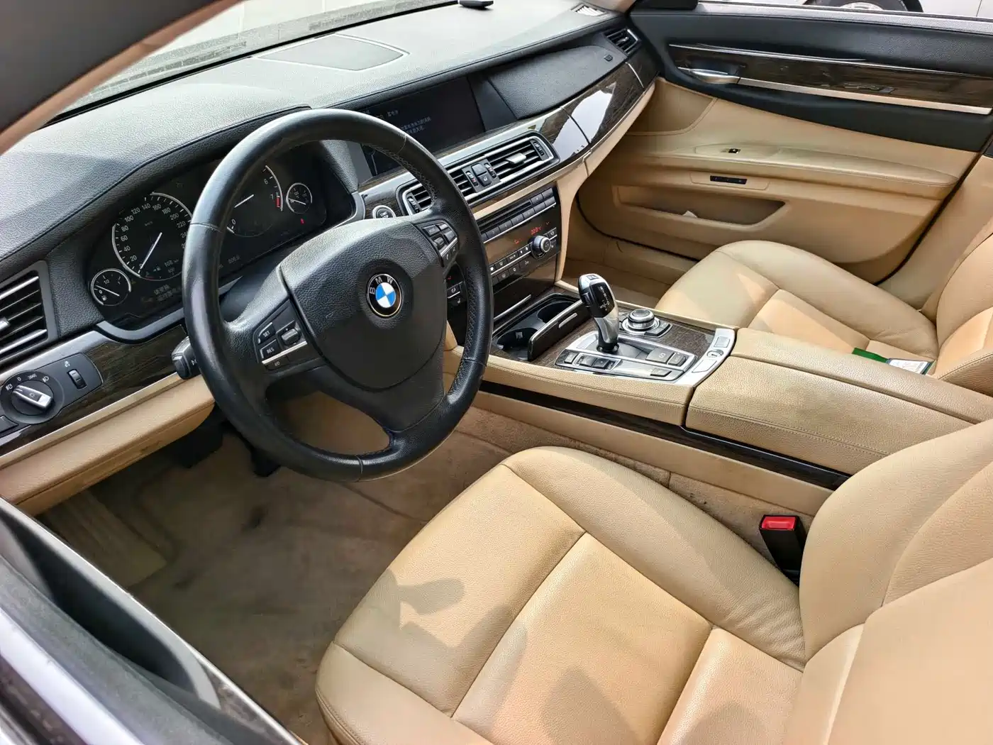 BMW 7 Series 2009 730Li Leading фото 10