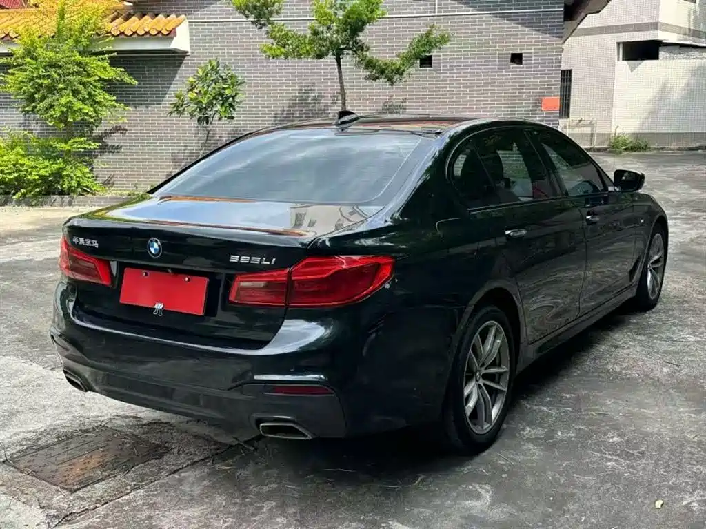 BMW 5 Series 2018 525Li M Sport Package фото 7