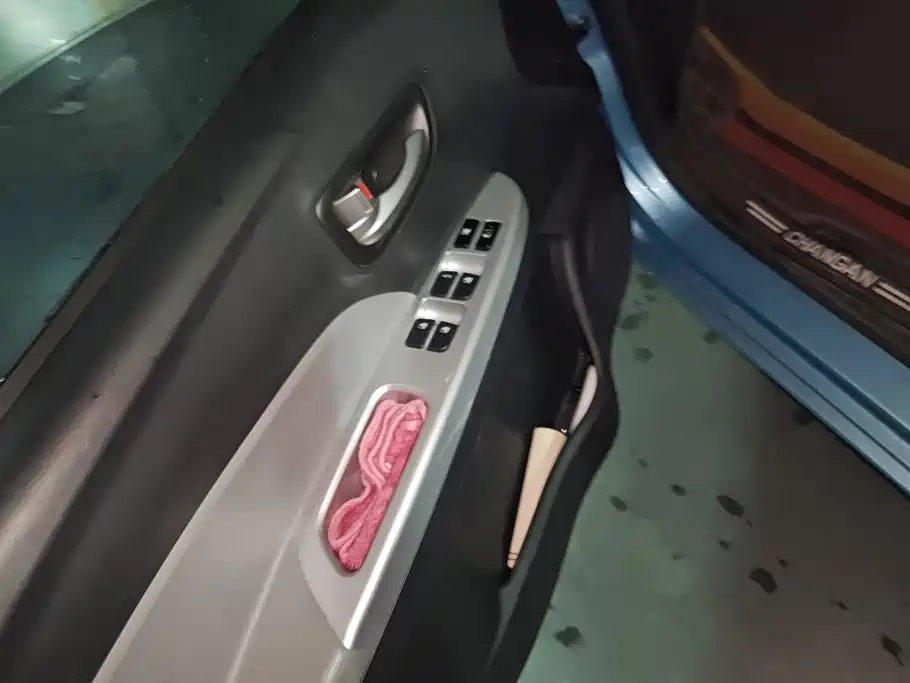 Changan Benben E-Star 2021 2021 National Edition Xinyi NCM